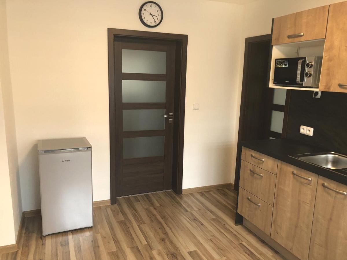Česká KameniceApartman Pod Hradem公寓 外观 照片
