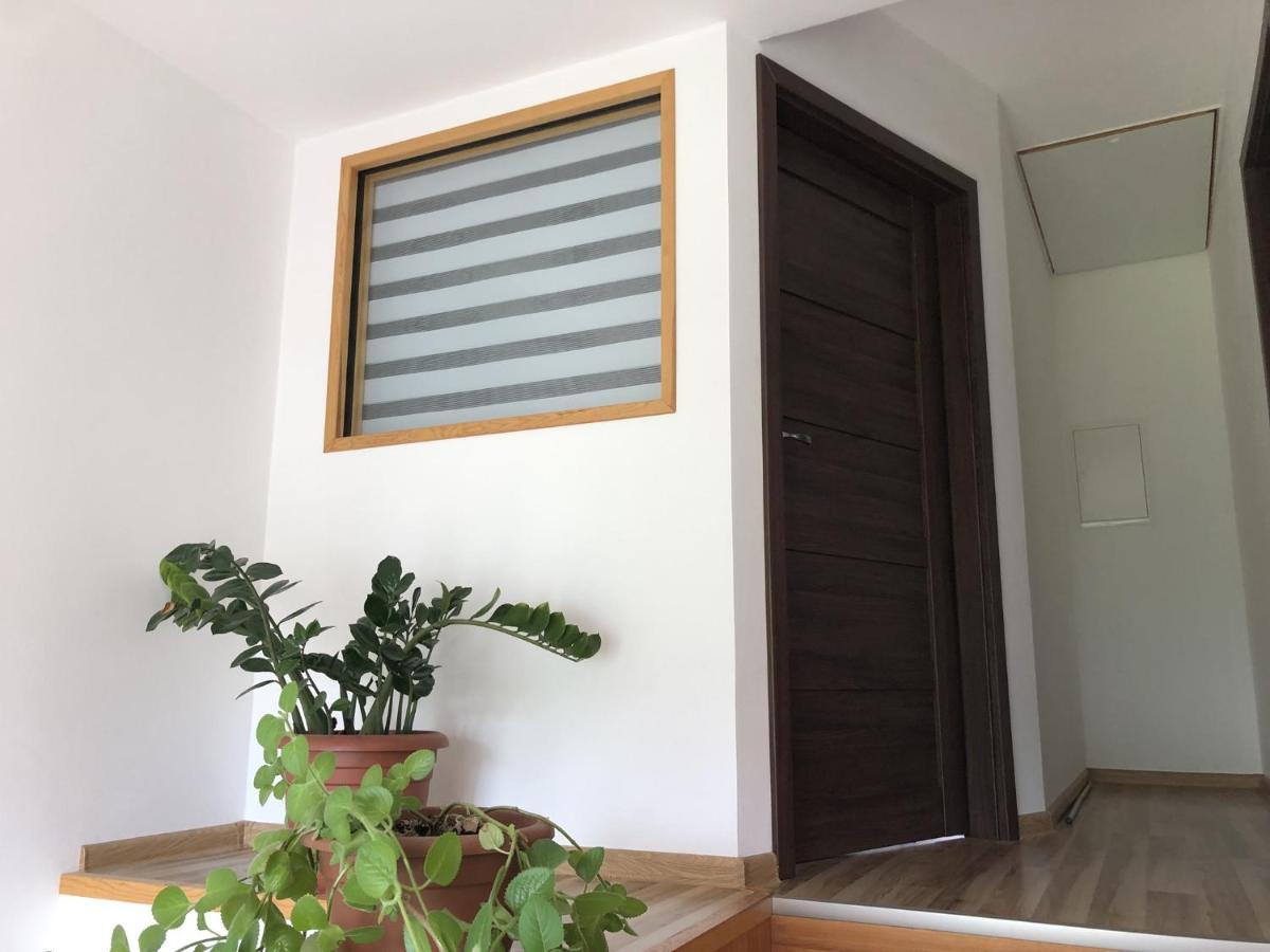Česká KameniceApartman Pod Hradem公寓 外观 照片